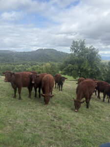 Les AVPB &agrave; la ferme