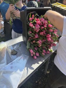 bouquets tulipes contre le cancer