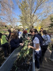 r&eacute;colte tulipes contre le cancer