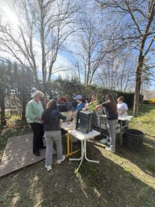 Tulipes contre le cancer
